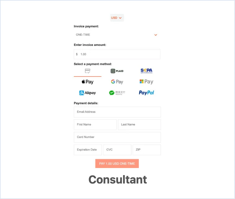 Consultant Payment Form Template preview