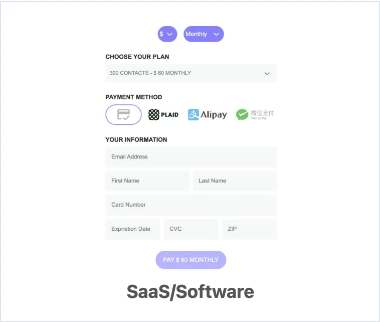 SaaS / Software Payment Form Template preview